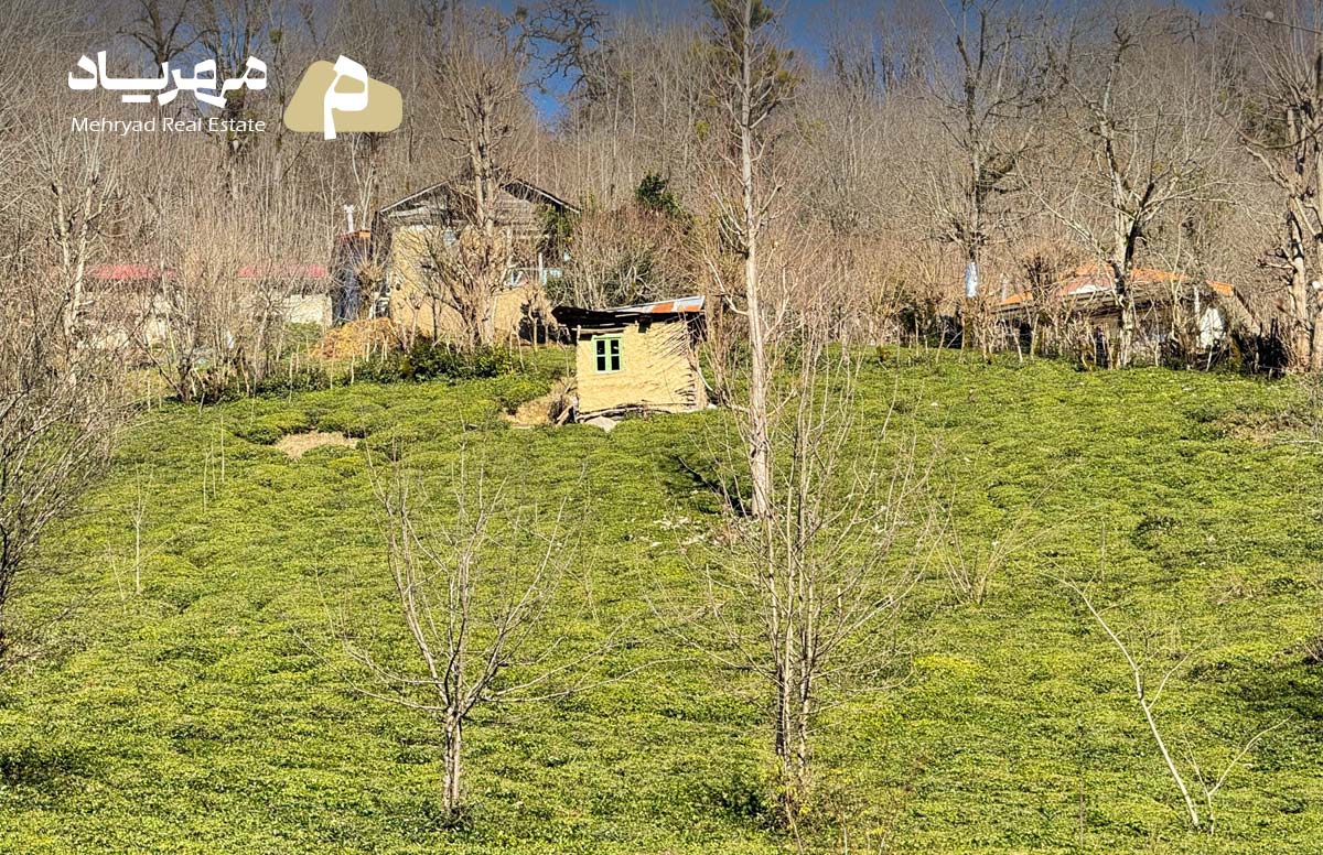 املاک مهریاد، زمین باغی در روستای بالارود کد: 4124