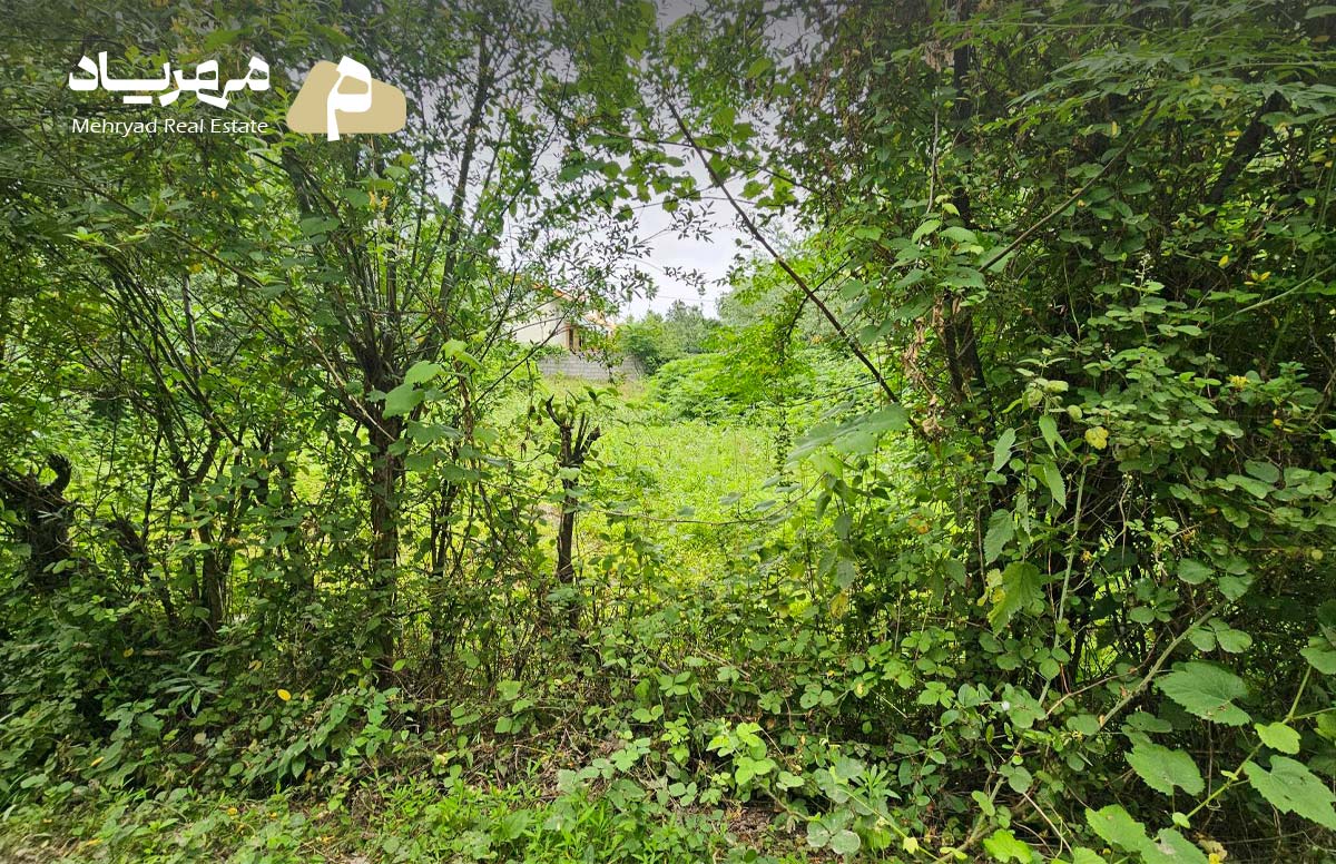 املاک مهریاد , زمین مسکونی-باغی داخل طرح کد: 4579