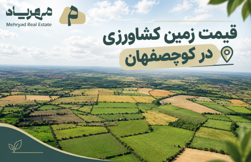 زمین شالیزاری در کوچصفهان